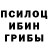 Галлюциногенные грибы Psilocybine cubensis Priit Kippar