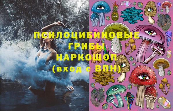 Альфа ПВП Богородицк