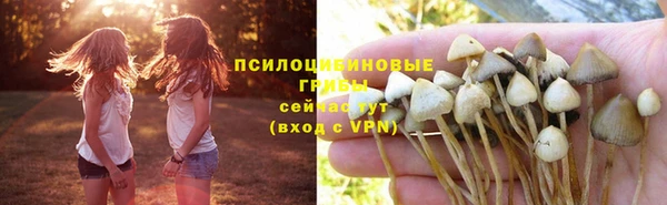 spice Богданович