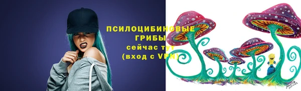 синтетический гашиш Богородск