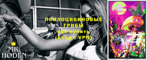 синтетический гашиш Богородск