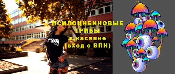 spice Богданович
