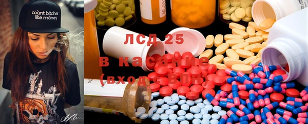 spice Богданович