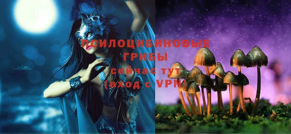 spice Богданович